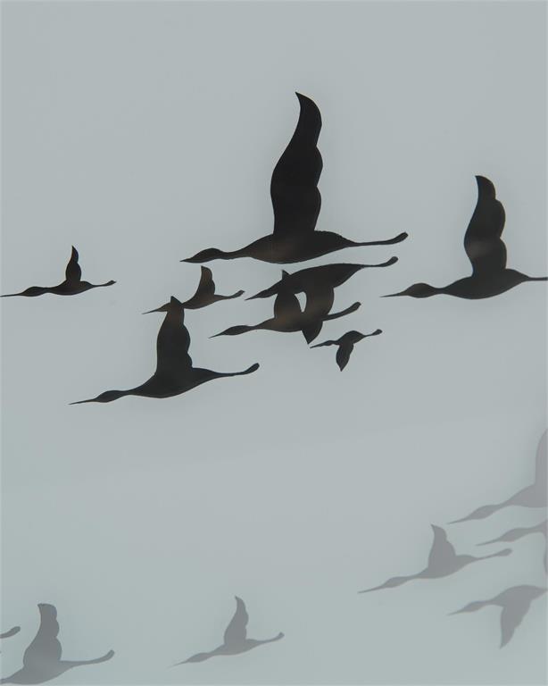 Буфет Silver Bird Migration