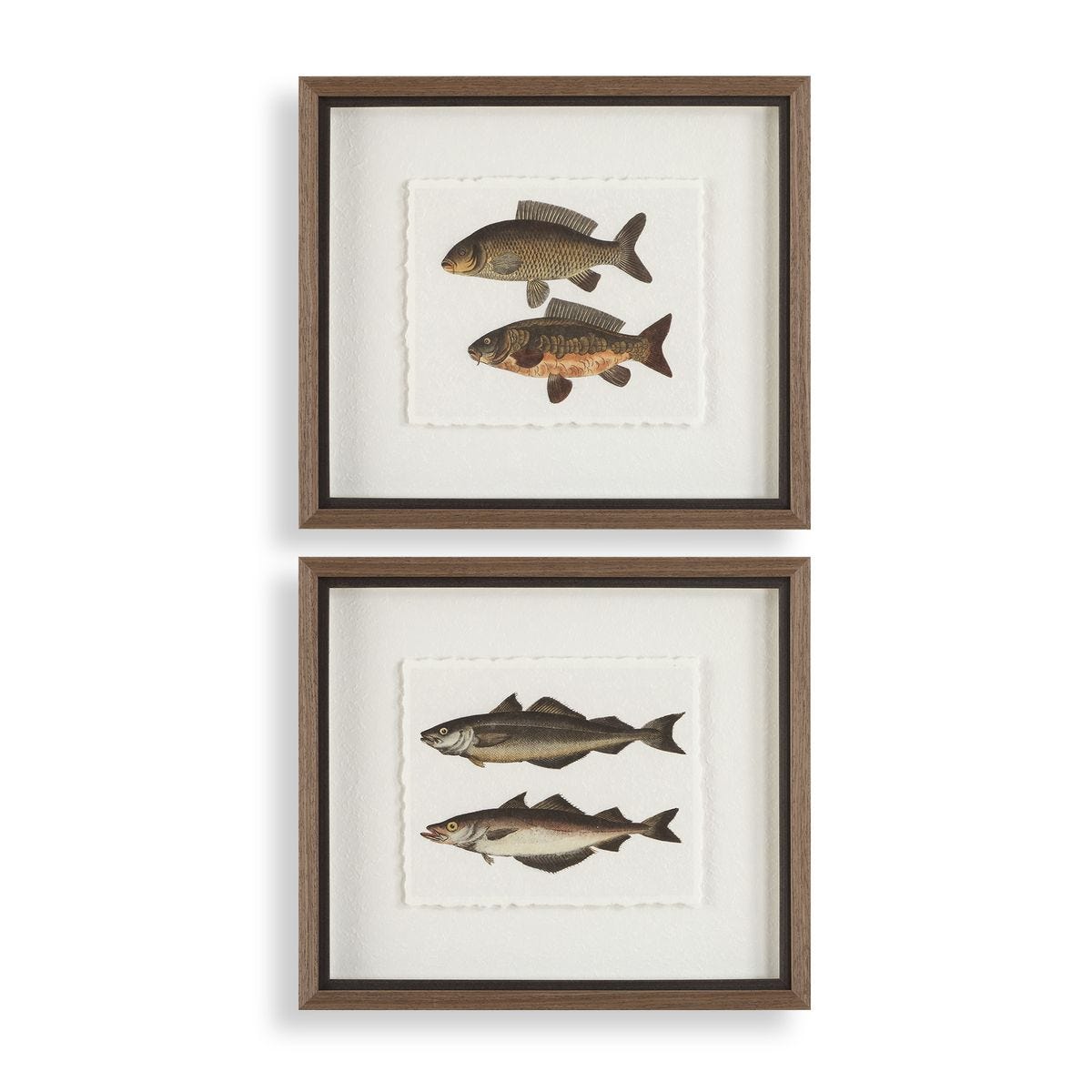 Постеры The Catch Framed Prints, S/2
