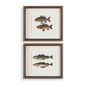 Постеры The Catch Framed Prints, S/2