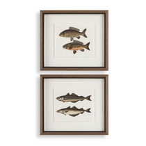 Постеры The Catch Framed Prints, S/2
