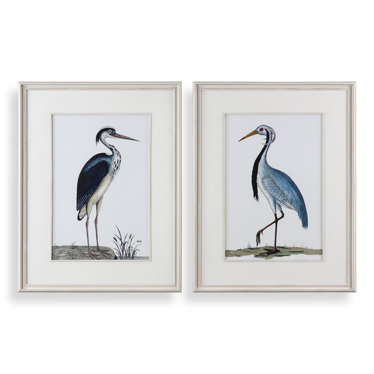 Постеры Shore Birds Framed Prints, S/2