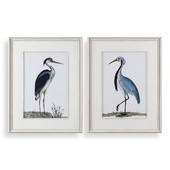 Постеры Shore Birds Framed Prints, S/2