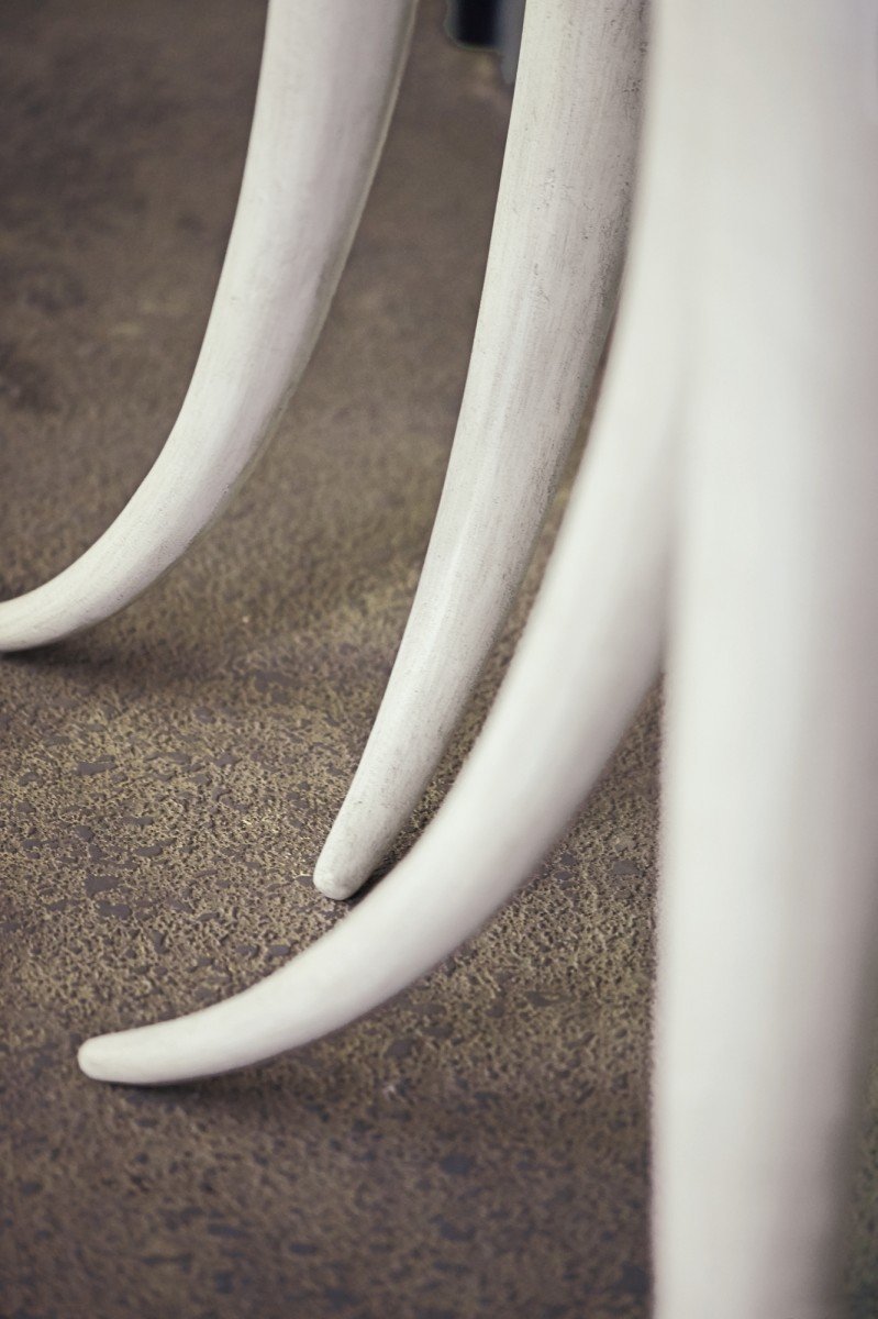 Консоль Livingston