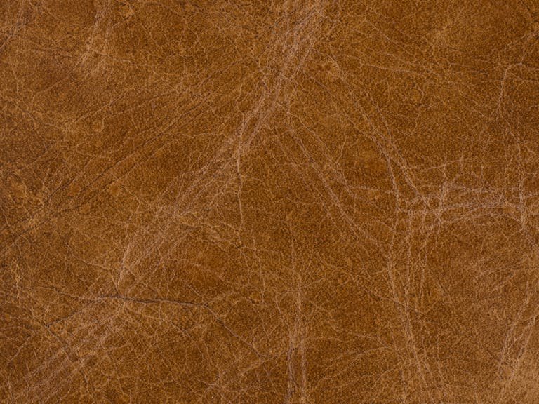 Кресло Potter Club