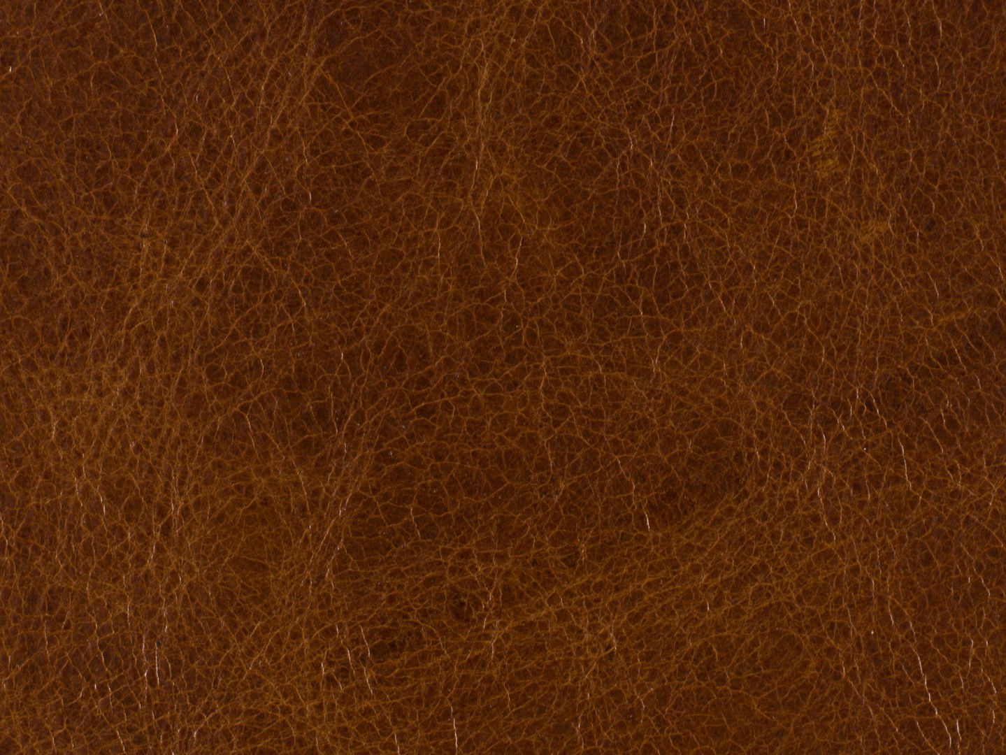 Кресло с реклайнером Shasta Recliner